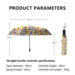 Sketchpad 9511 Manual Umbrella