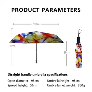 Sketchpad_8796 Manual Umbrella