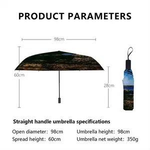 Coastal View Fom Staxigoe Manual Umbrella