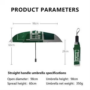 #52B Amberley Road #3 (2021) Manual Umbrella