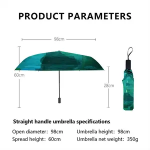 Light In The Darkness Manual Umbrella