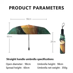 Music In Our Soul Manual Umbrella