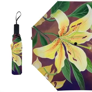 Lily In The Dark Manual Umbrella