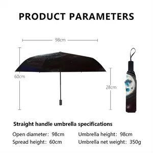 Blue Moon Street Art Sky Interior Design Ideas Decor Manual Umbrella