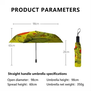 Raspberry Manual Umbrella