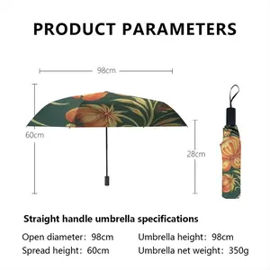 Puissance Manual Umbrella