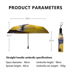 Lamborghini Crash Manual Umbrella