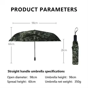 #76-2021 Playtime Manual Umbrella