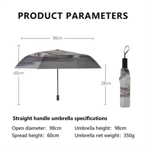 Interior Scene Manual Umbrella