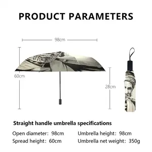 Indian Rail Worker Manual Umbrella