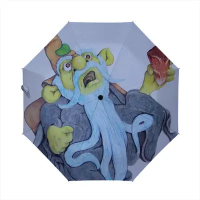 Baby Blue Beard Wizard Manual Umbrella