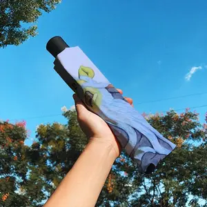 Baby Blue Beard Wizard Manual Umbrella