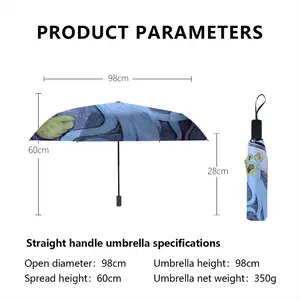 Baby Blue Beard Wizard Manual Umbrella