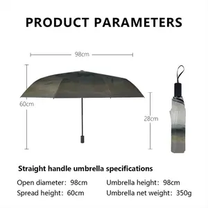 Manade Sur Les Launes Manual Umbrella