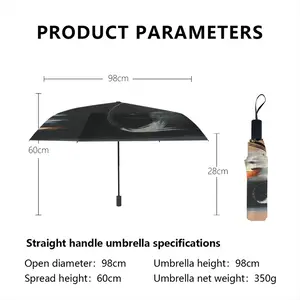 Mclaren Formula 1 Manual Umbrella