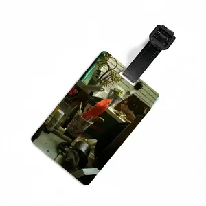 Still Life With Bird Feathers Luggage Tag