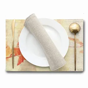 Connectivity Double Insulated Placemats