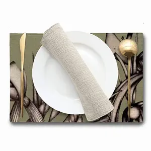 Sd Space Double Insulated Placemats