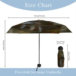 Ladder Manual Umbrella (Mini)