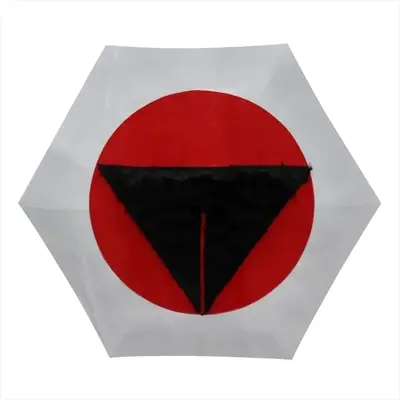 Pubic Flag Japan Manual Umbrella (Mini)