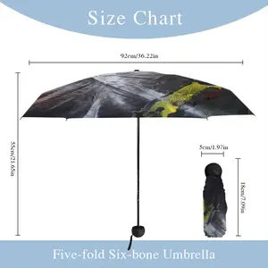 Collapse Manual Umbrella (Mini)