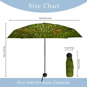 Cellular Universe B Manual Umbrella (Mini)