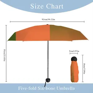 Boxy Back Betty Manual Umbrella (Mini)