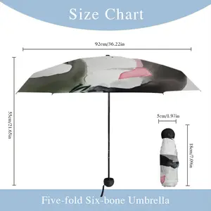 Grandiloquence Manual Umbrella (Mini)