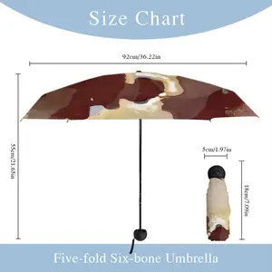 Grana Manual Umbrella (Mini)