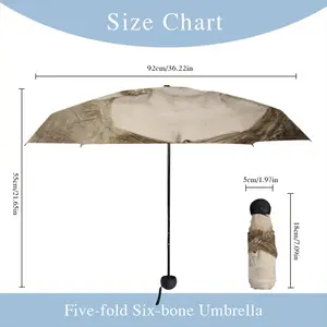 Joy Behar Manual Umbrella (Mini)