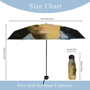 Big Brother Manual Umbrella (Mini)