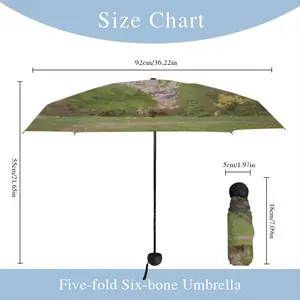 Gardens Bloom Manual Umbrella (Mini)