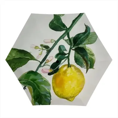 Lemon Branch Manual Umbrella (Mini)