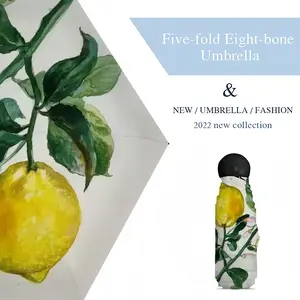 Lemon Branch Manual Umbrella (Mini)