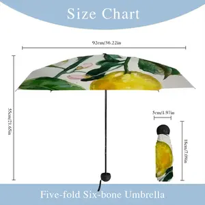 Lemon Branch Manual Umbrella (Mini)