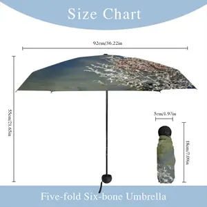 Inertia Iv Manual Umbrella (Mini)