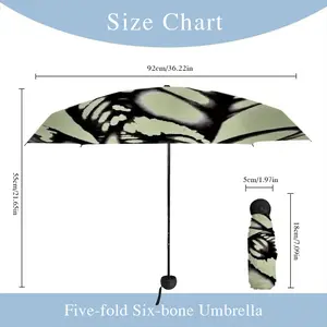 Corrosion 7 Manual Umbrella (Mini)