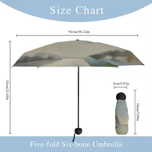 Crick Street Chatswood Manual Umbrella (Mini)