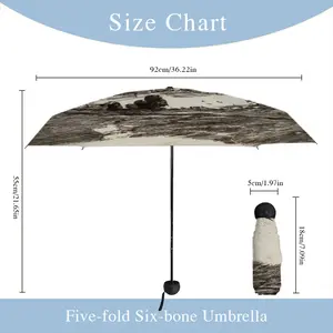 Parisian Pavement Manual Umbrella (Mini)