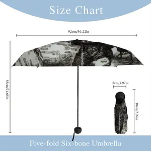 After Gericault C Manual Umbrella (Mini)