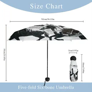 Pony Express Manual Umbrella (Mini)