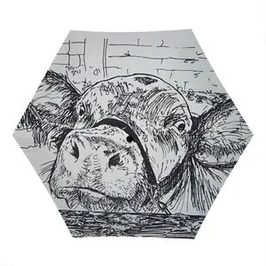 Kilroy Cow Manual Umbrella (Mini)