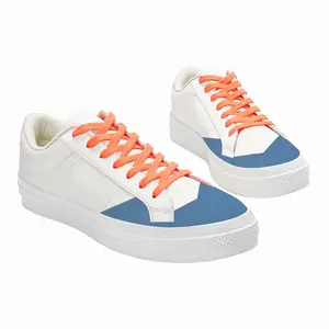 Men Flag 45 Low Top Canvas Shoes