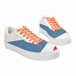 Men Flag 42 Low Top Canvas Shoes