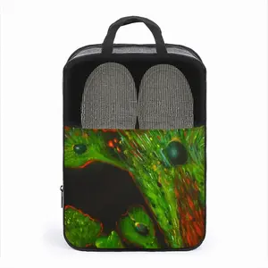 Cellular Universe A Travel Shoe Bag