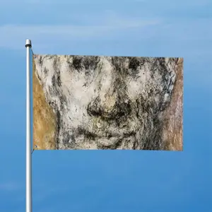 Face 4 Double Sided Flag (Multi-Size, Horizontal)