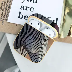 Dreamy Zebra Airpods 2 Case (Hard Shell, Golden)