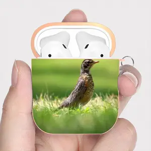 Bird In High Park Grass Airpods 2 Case (Hard Shell, Rose Gold)