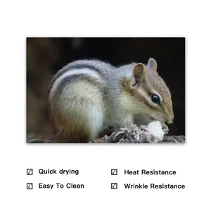 Hight Park Chipmunk PVC Placemat