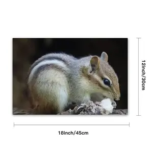 Hight Park Chipmunk PVC Placemat